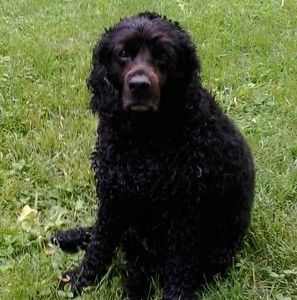 Meet your Posher, Barbara